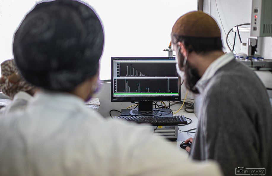Researchers analyzing molecules in Dead Sea region shrubs